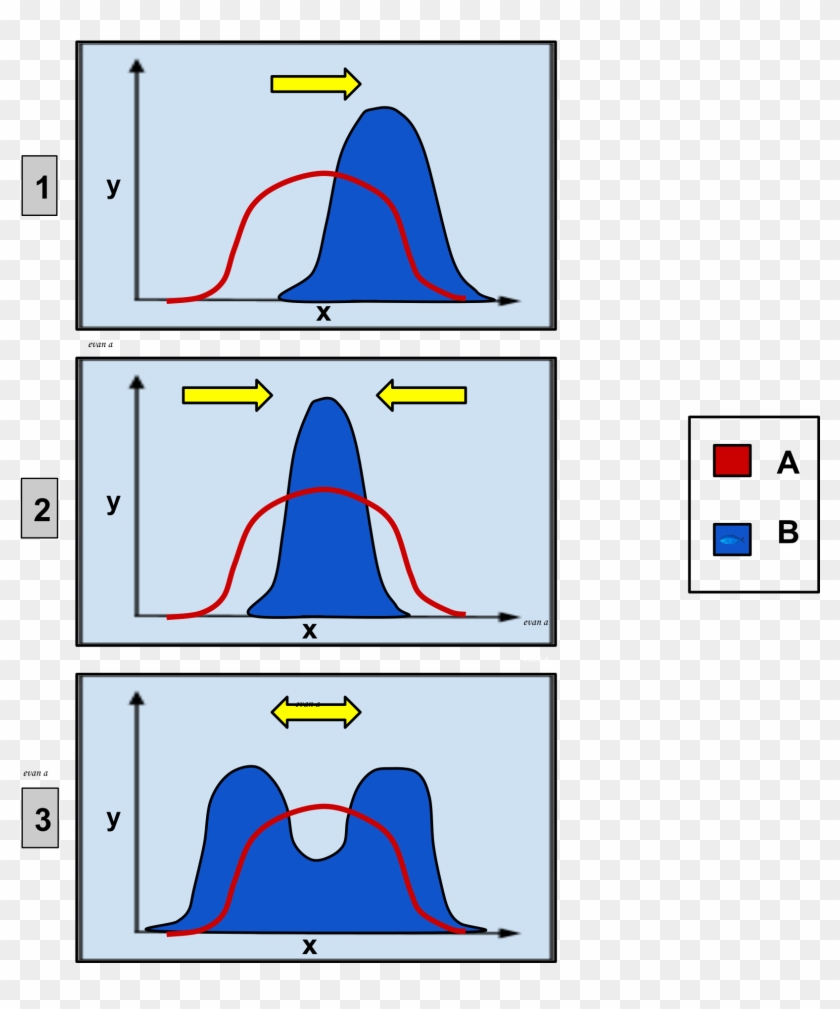 Directional Selection #1402353