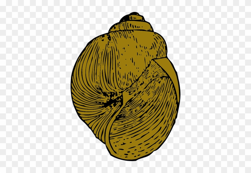 Shell Clipart Yellow Shell - Keong Vektor #1402978