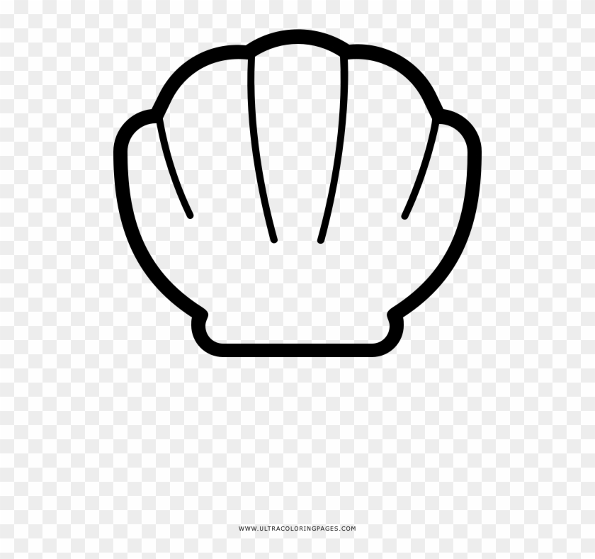 Clam Shell Drawing At Getdrawings - Line Art #1402999