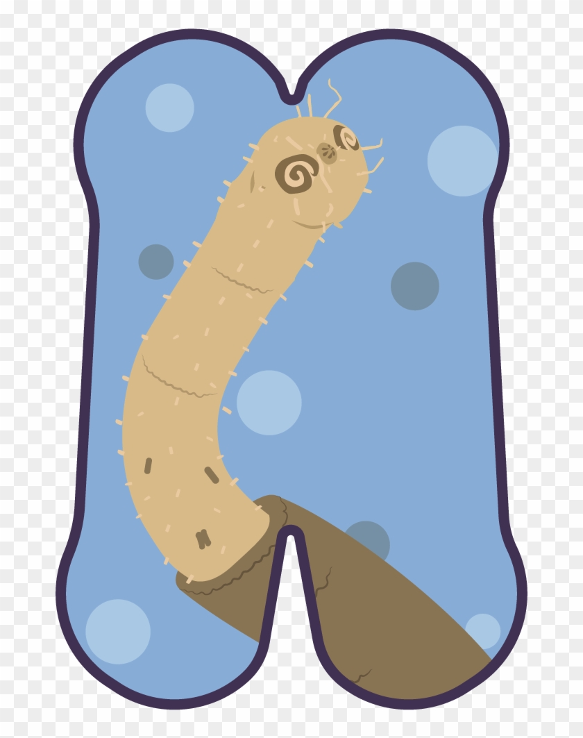 Picket Fence, To Stay On The Worm They Had To Adapt - Picket Fence, To Stay On The Worm They Had To Adapt #1404223
