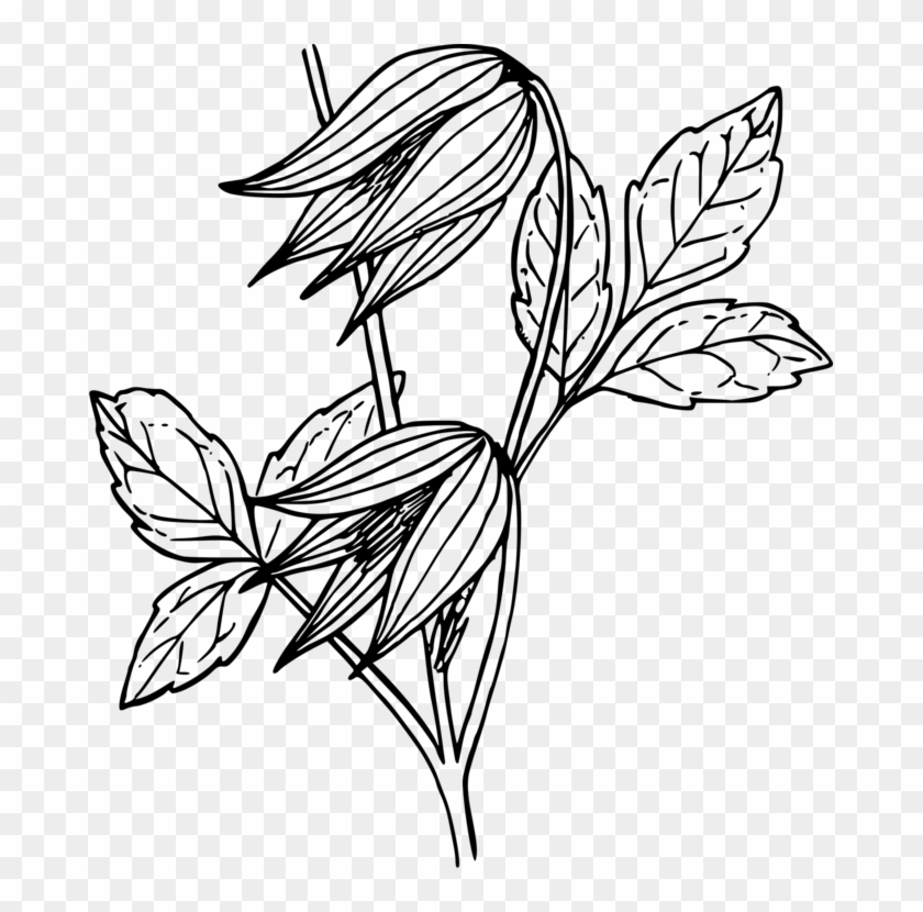 All Photo Png Clipart - Natures Flowers: Wonderful Flowers To Colour #1404427