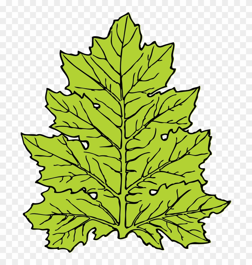Leaf Clip Art #1404452