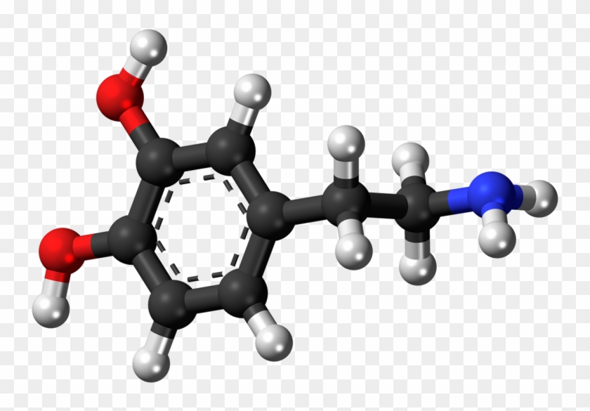 Amine Compounds (chemical Compounds) #1405870