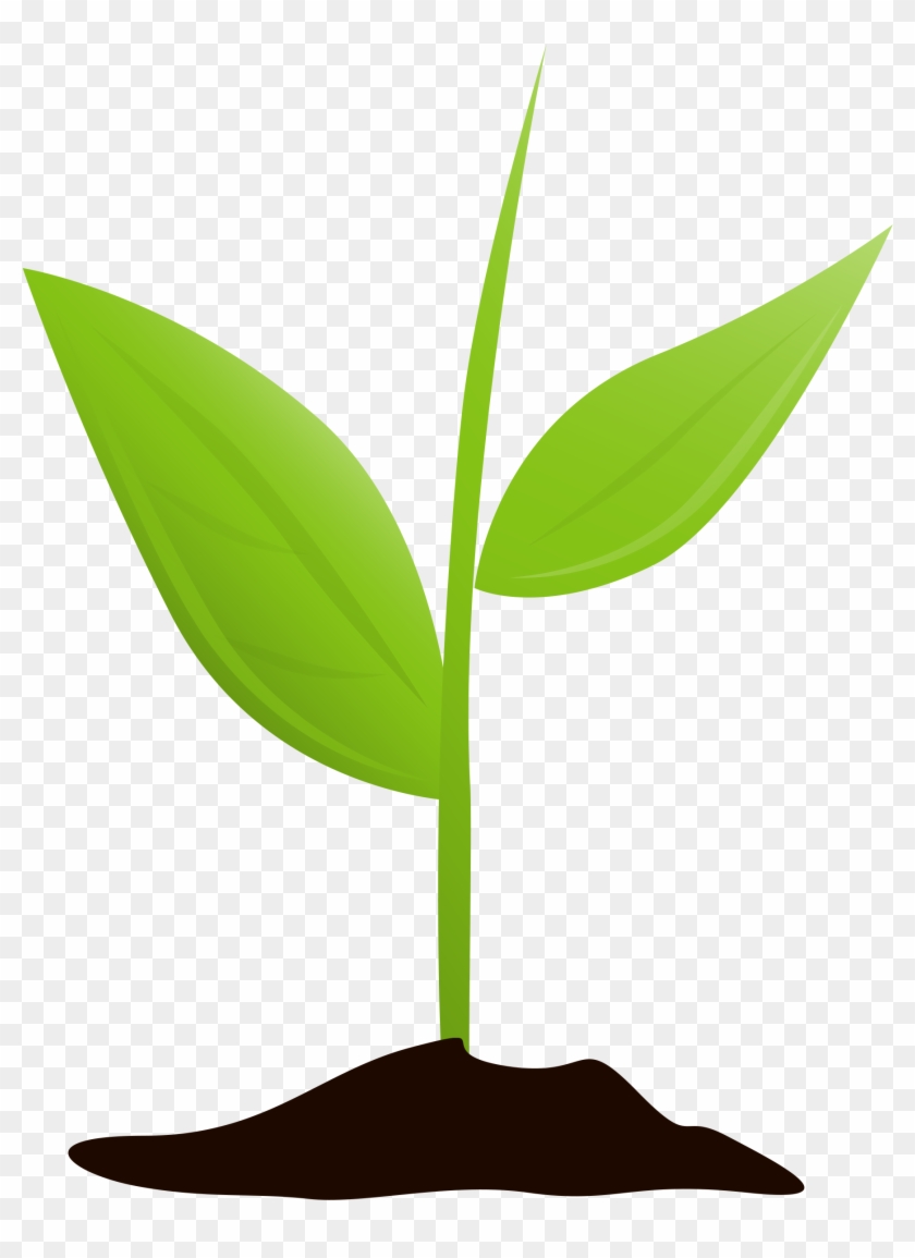 Get Started And Grow - Plant Growing Transparent #1406029