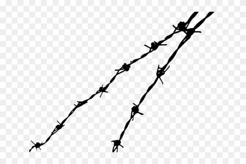 Vector Transparent Library Barbed Wire Clipart Animated - Basic Human Rights: A New Narrative #1406094