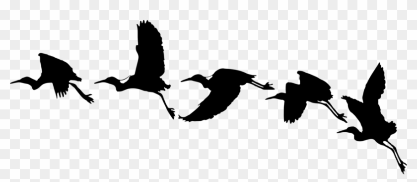Bird Drawing Silhouette Cartoon Computer Icons - Bird Flying Vector Png #1406111