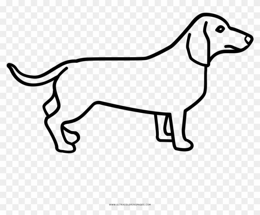 Vector Freeuse Library Ziemlich Dachshund Coloring - Cane Bassotto Da Colorare #1409062