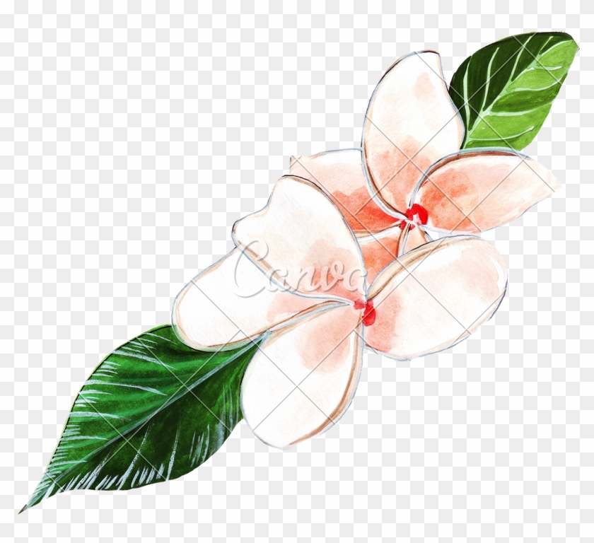 Painted Hands Watercolor Pink Plumeria - Watercolor Painting #1410680