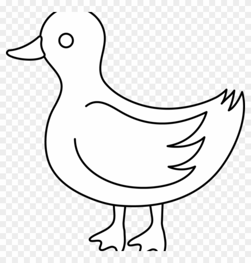 Duck Clipart Black And White Duck Clip Art Black And - Black And White Ducksclipart #219721