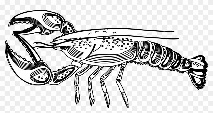 Fresh Crayfish Coloring Page Nashville Free Printable - Coloring Page Of A Lobster #219735