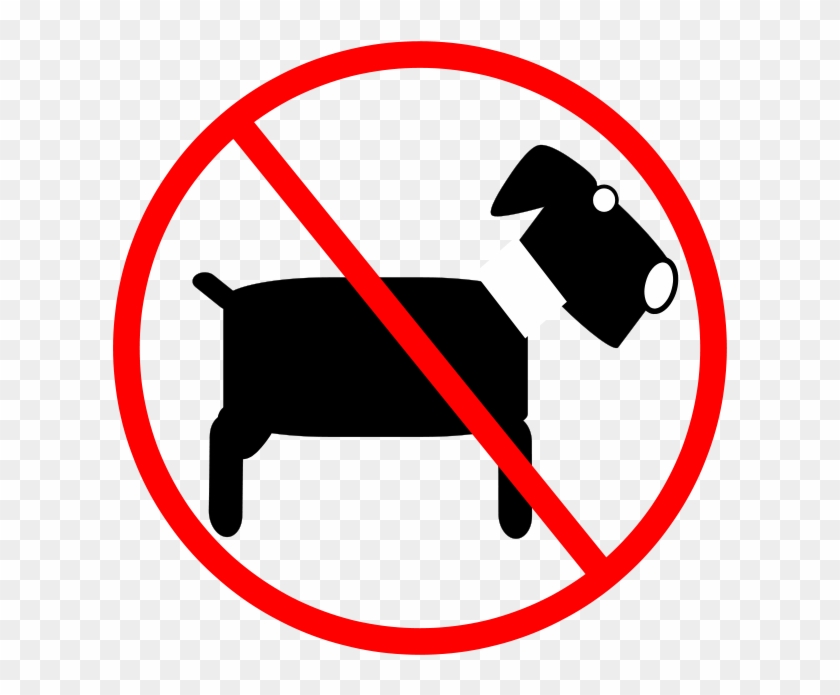 No Pets, No Animals - Basketball Clipart Black And White #220488