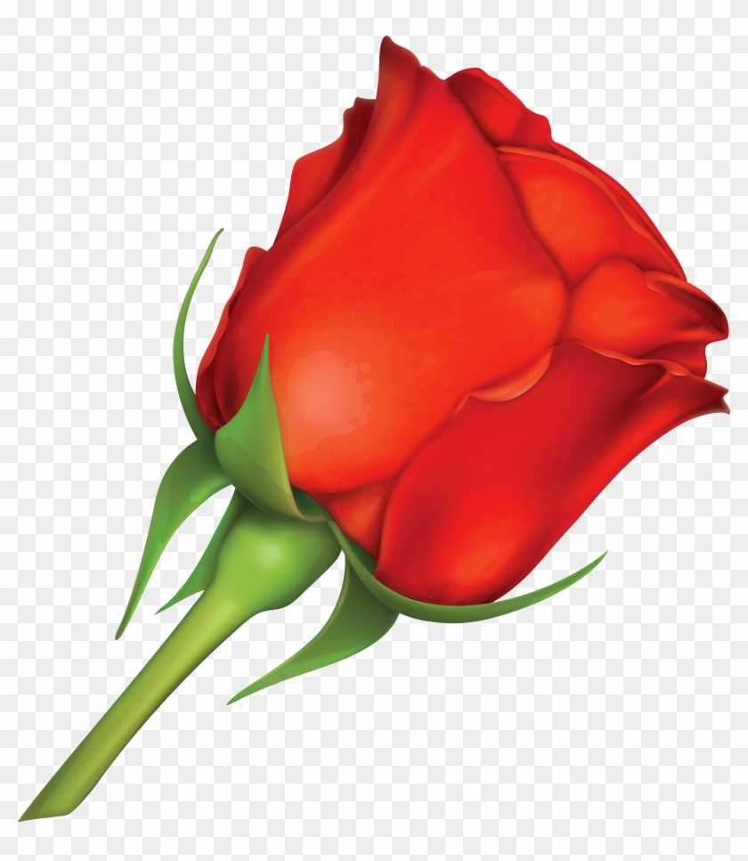 Red Rose Clipart Large - Red Rose Clipart Large #220897