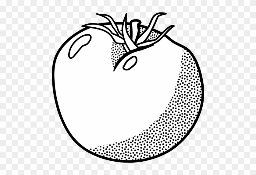 Tomato Line Art Vector Graphics Public Domain Vectors - Buah Tomat Hitam Putih #222133