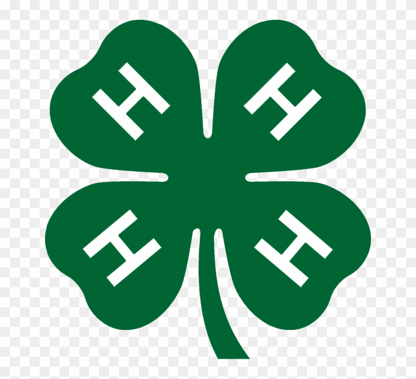 4 H #1411681