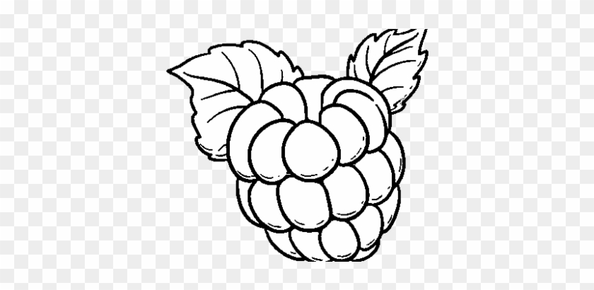 Splendid Raspberry Coloring Page Coloringcrew Com Torte - Frambuesa Dibujo #1411756
