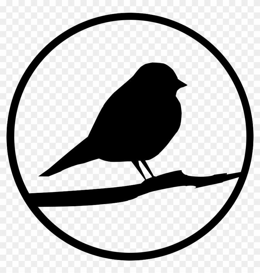 Robin Vector Black And White - Storefront #1412024