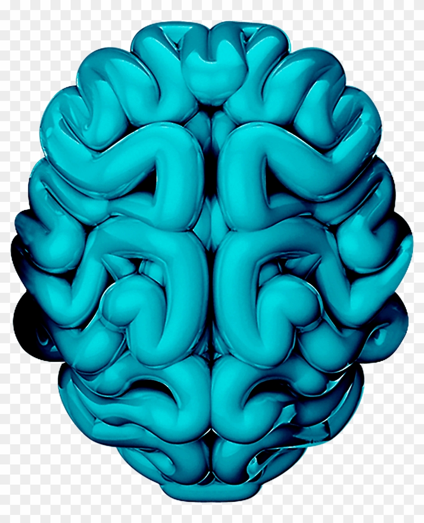 Curious Facts About Slovenia - Neurology Poster #1412131