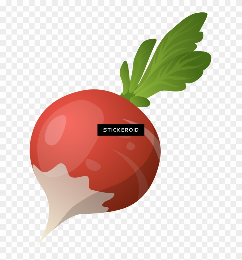 Beet Vegetables - Vector Illustration Of A Radish Fidget Spinner Keychain, #1412291