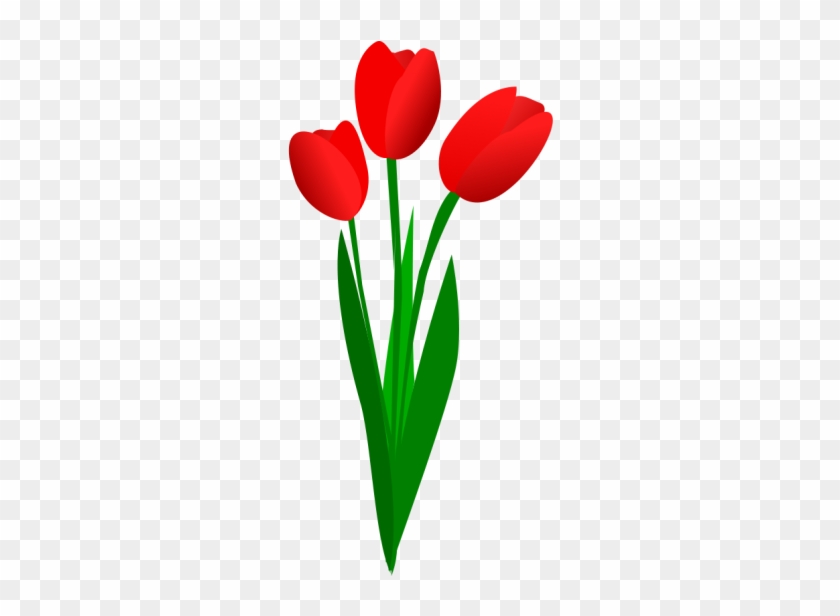 Pflanzen, Blumen, Tulpen Blumen, Blumen Kunst, Rote - Tulips Clipart Transparent Background #1413544