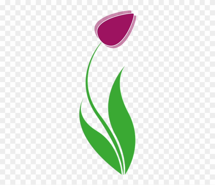 Tulip #1413577