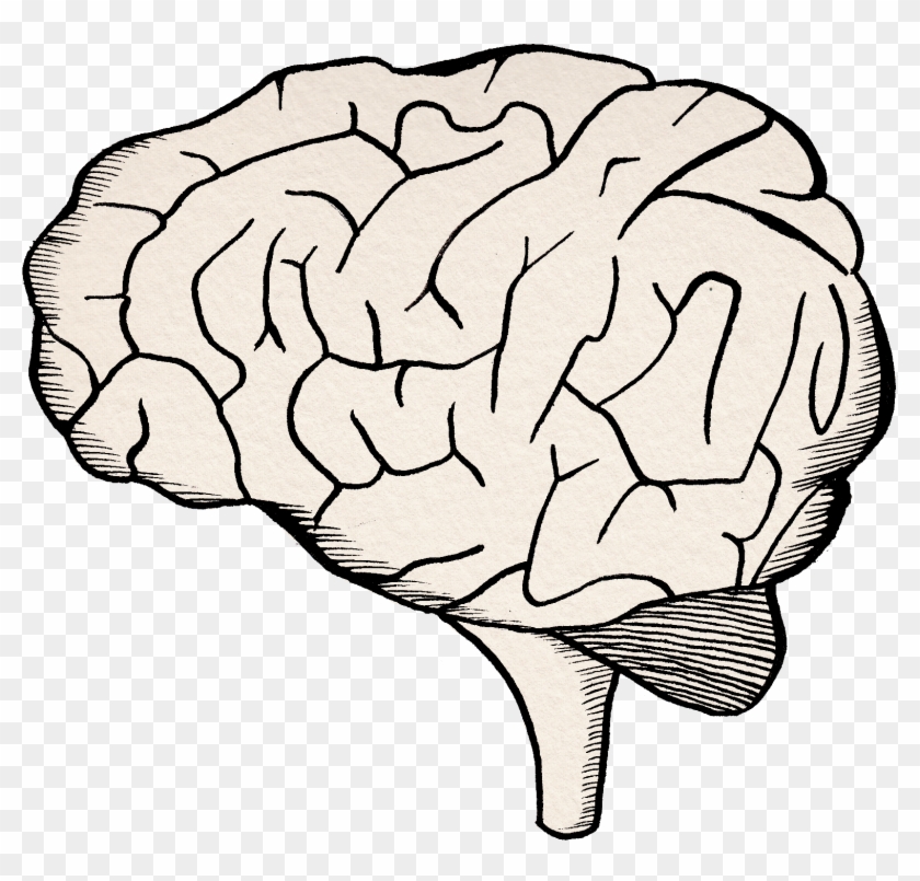 Try To Be Aware Of How The Chemicals In Your Brain - Brain #1415356