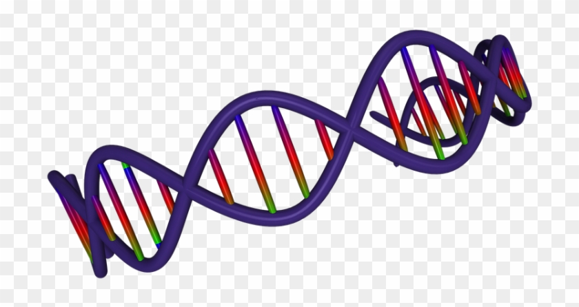 Dna To Define Your Wine Tastes - Adn 3d Png #1415689