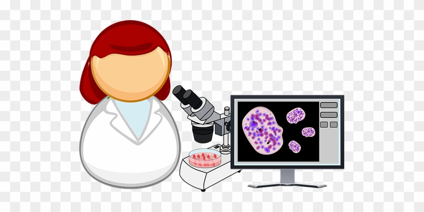 High Impact Data Science Challenges - Analisis De La Informacion Biologia #1416374