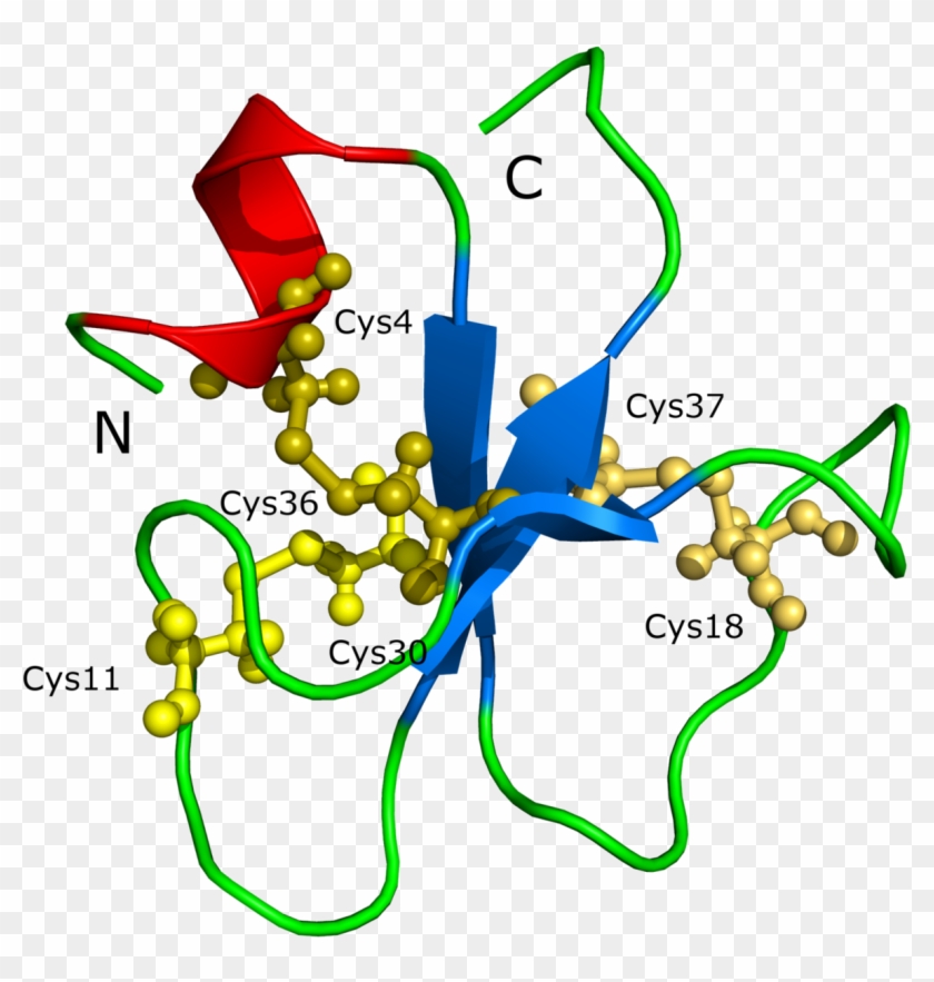 Slow Loris Venom Molecule #1417213