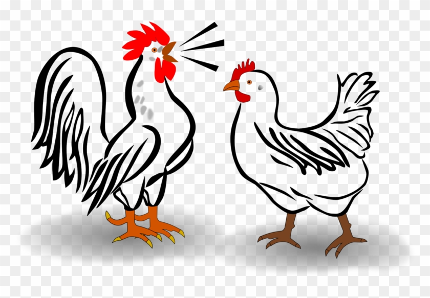 All Photo Png Clipart - Rooster And Hen Shower Curtain #1417319