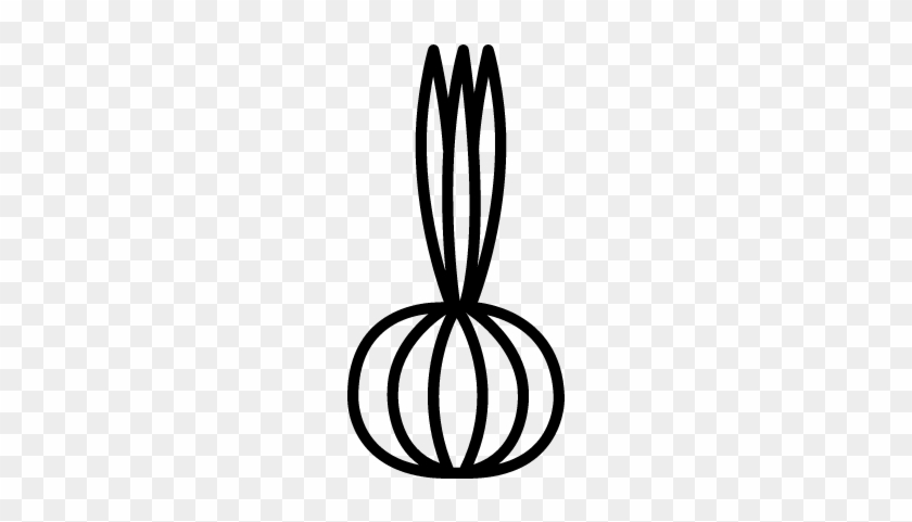 Raw Onion Vector - Pasate Al Lado Verde #1417808