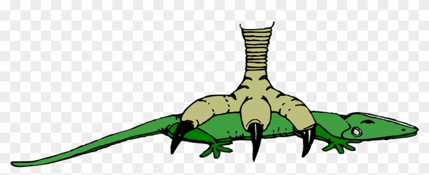 Clip Art Free Library Krokodil Shop Of Library Buy - Portable Network Graphics #1418512