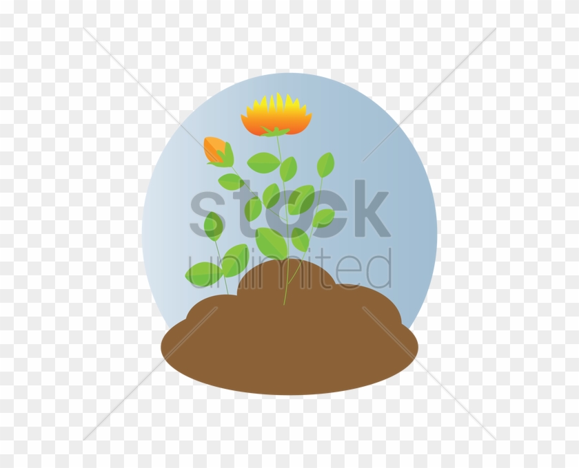 Sprouting #1418825