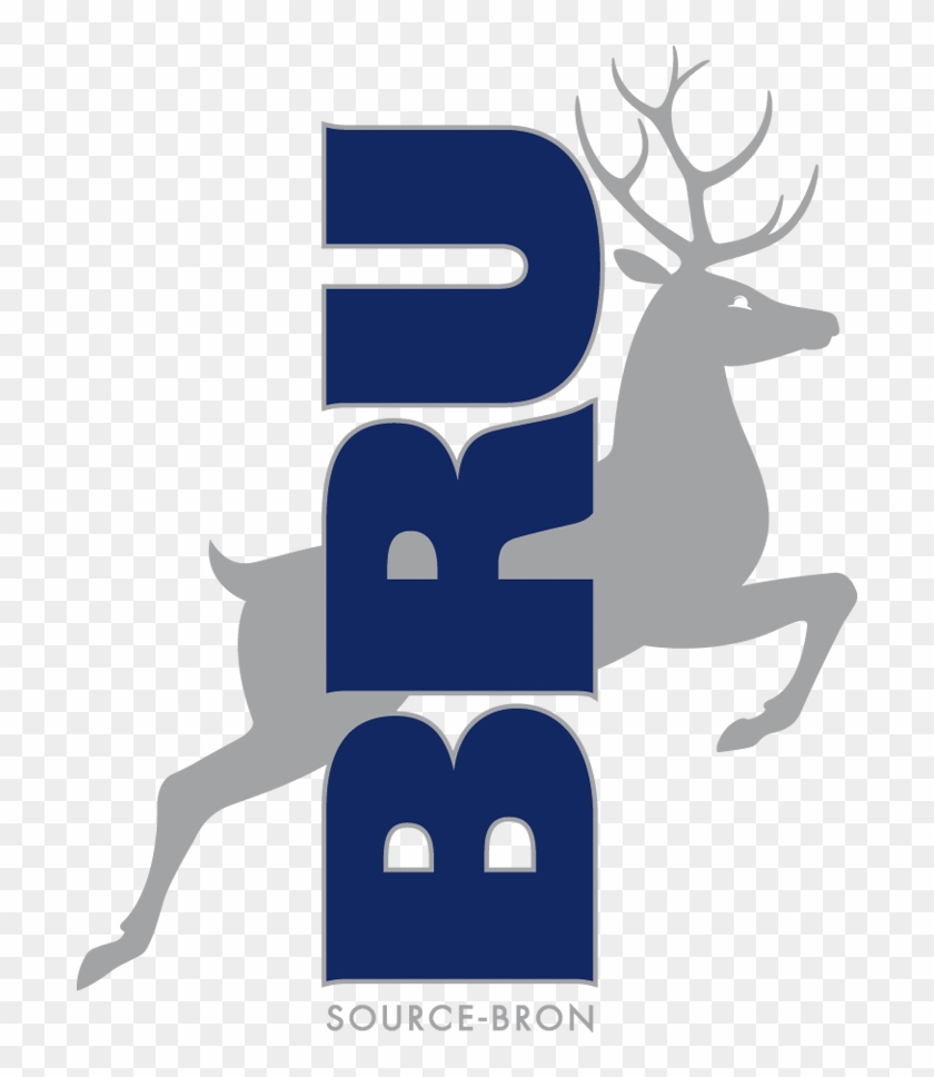 Bru Is A Producer Of Mineral Water - Bru #1420480