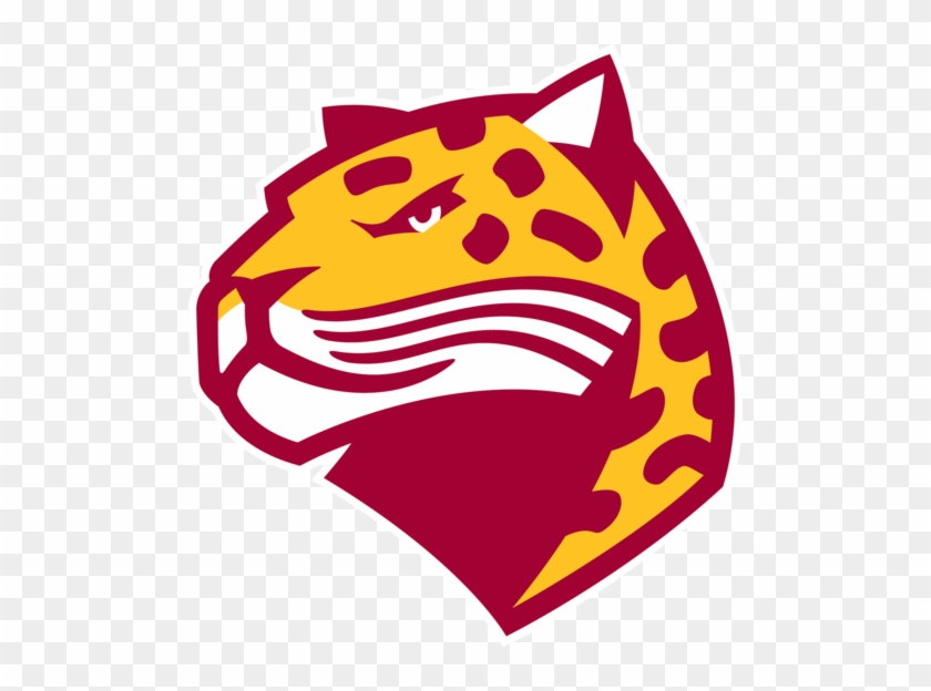 Logo For Georgia Perimeter College By Creative Entrepreneur - Georgia Perimeter Jaguars Logo #1420591