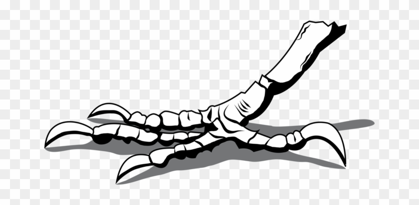 Crow Foot Computer Icons Drawing Leg - Crows Foot #1420703