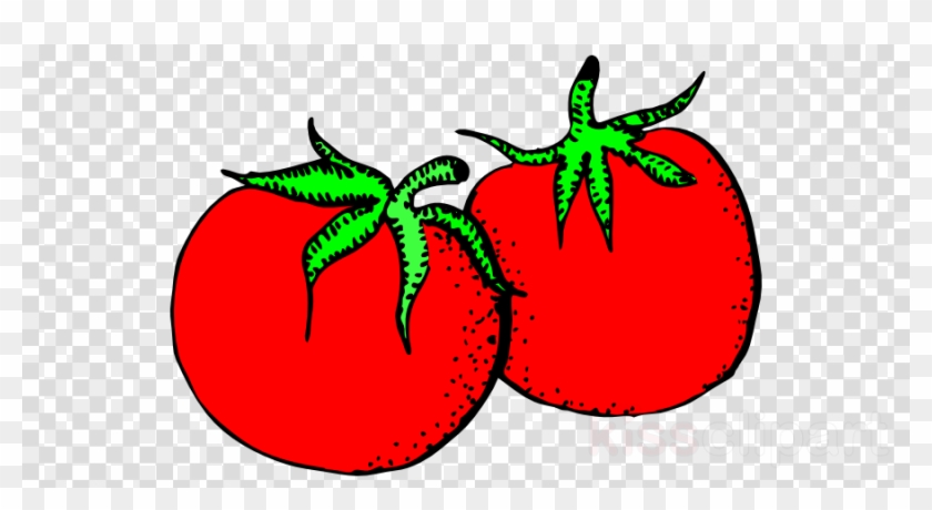 Tomatoes Clip Art Clipart Tomato Clip Art - Caroline's Treasures Checkerboard Blue Black Labrador #1421348