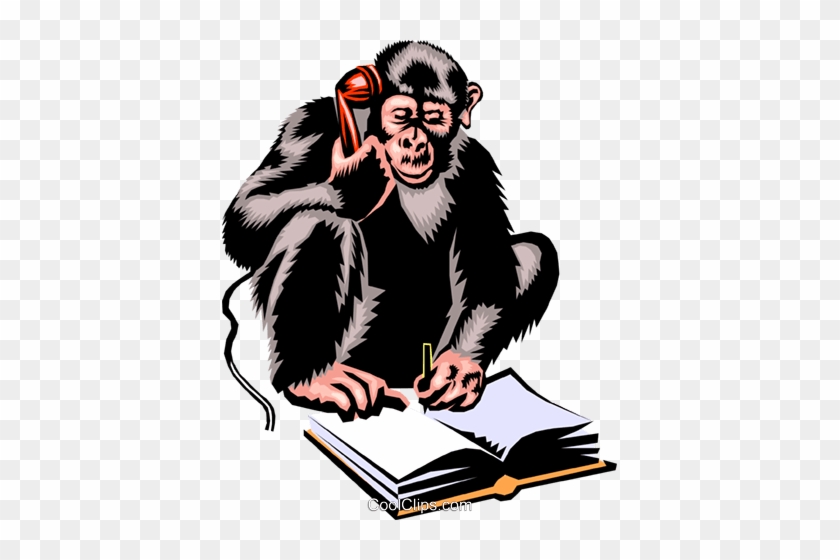 Monkey - Monkey Funny Cartoon Hd #1421535