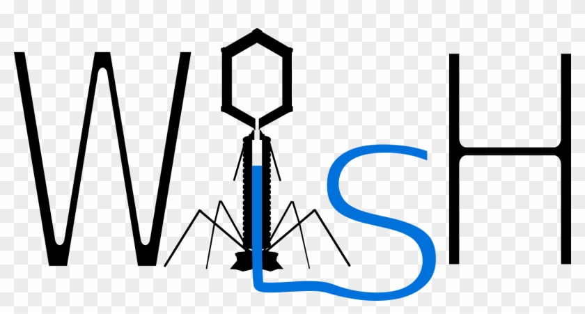 What Is This Repository For - Hershey And Chase Experiment #1422343
