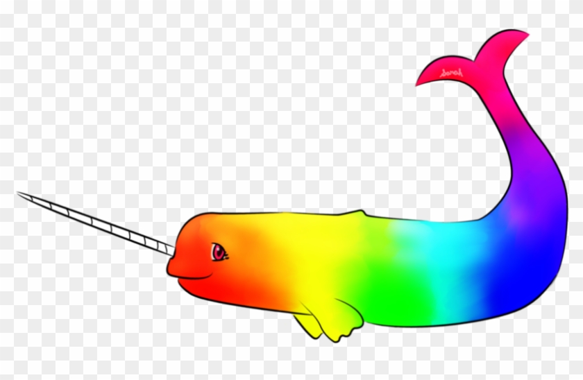 Rainbow Narwhal #1423060
