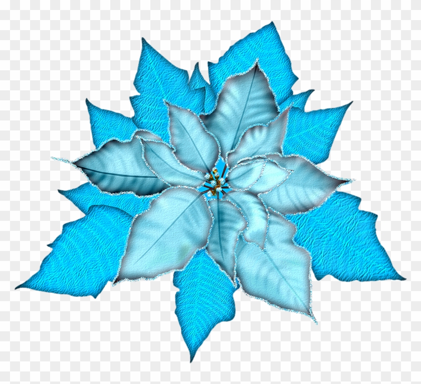 Ch - B *✿* - Christmas Poinsettia Transparent Background #1423181