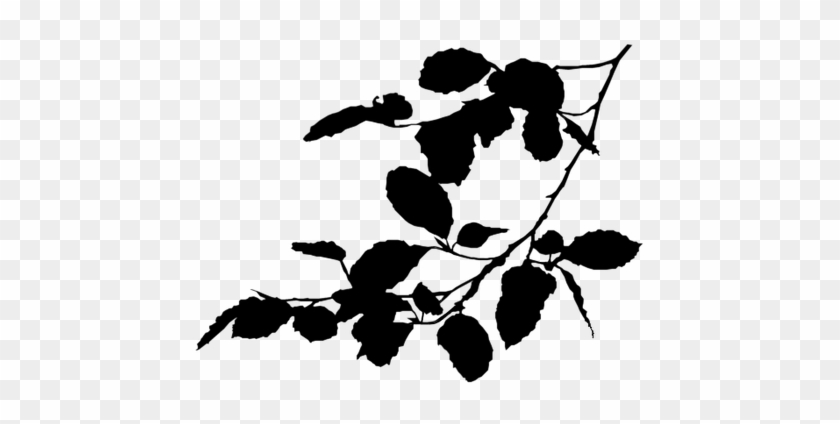 Clip Art Transparent Library Browse Resources Stock - Tree Branch Silhouette Png #1423394