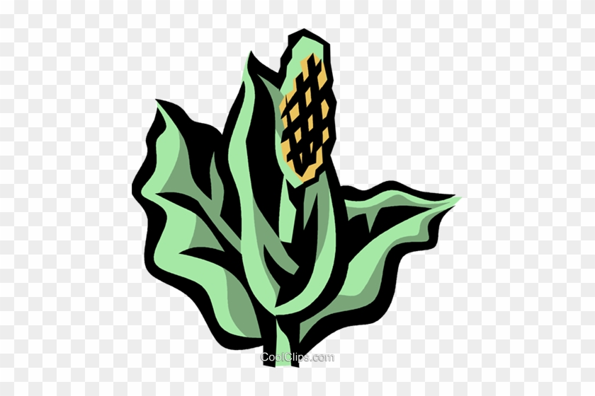 Skunk Cabbage Royalty Free Vector Clip Art Illustration - Skunk Cabbage Clipart #1423507