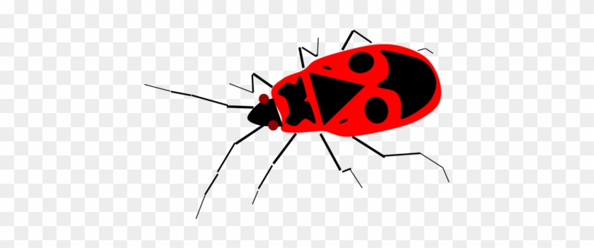 Insect European Firebug Computer Icons Windows Metafile - Firebug Png #1423679