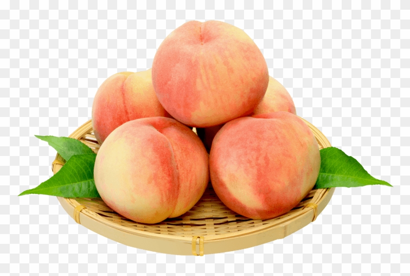 Pear Fruit Png Free Images Toppng Transparent - Peach #1423878