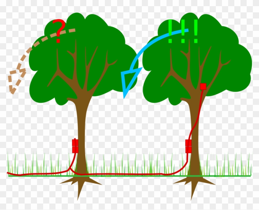 Explosive Material Branch Tree Computer Icons - Explosive #1426638