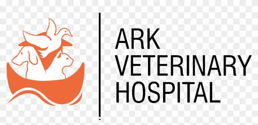 Veterinary Physician #1428836