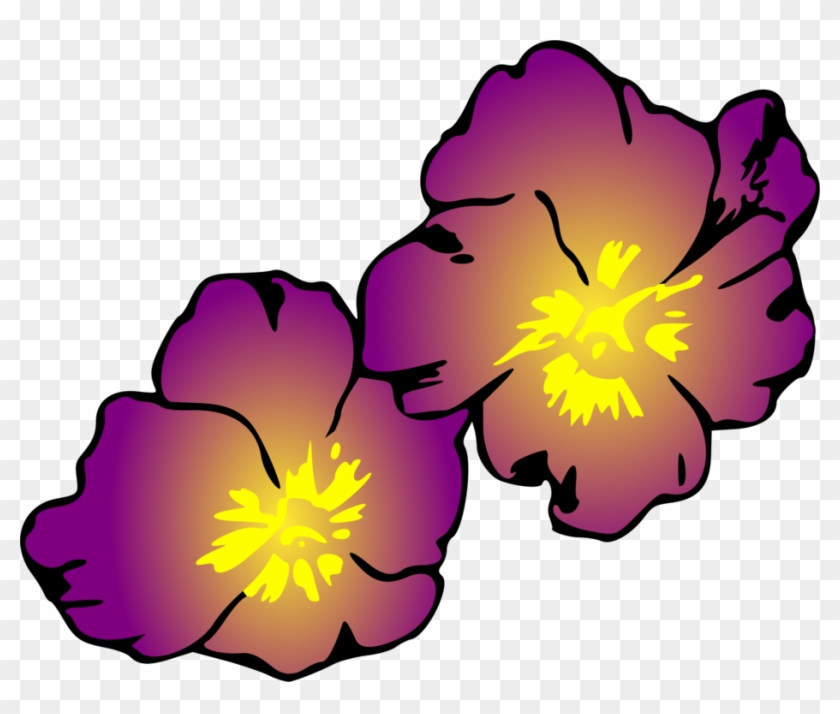 Violet Herbaceous Plant Plants Violaceae - Clip Art #1429202