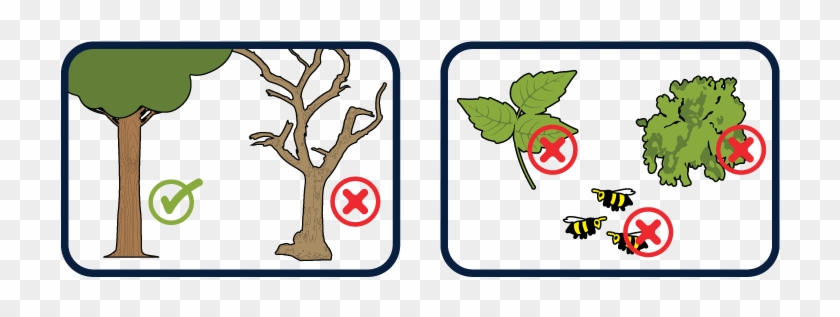 Don't Hang Your Hammock From Any Dead Trees - Don't Hang Your Hammock From Any Dead Trees #1431534