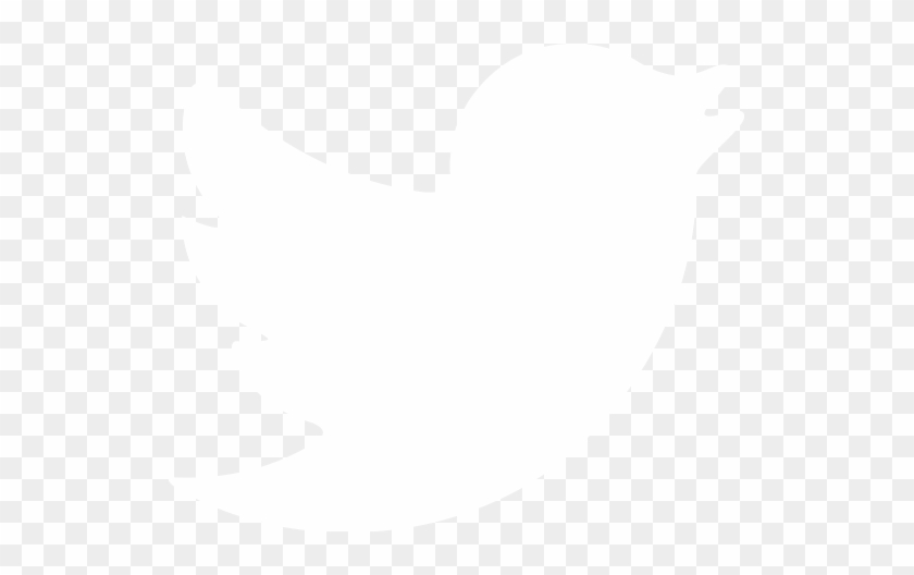 Twitter Youtube - Transparent White Twitter Logo #1432082