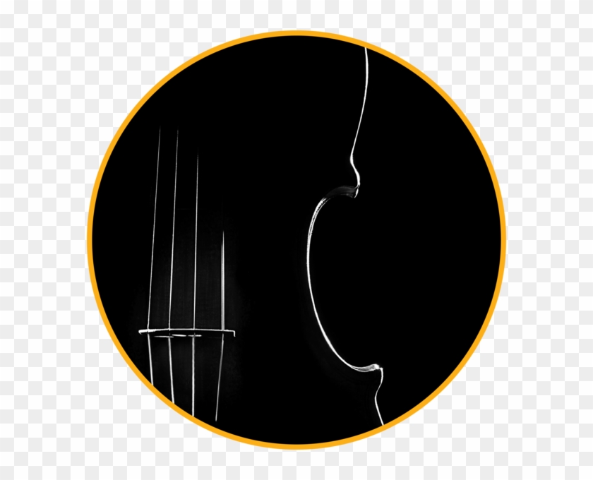 Join The Awc Civic Orchestra, The String Ambassadors, - The Spaceship Company #1432593